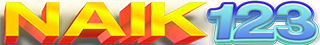NAIK123
